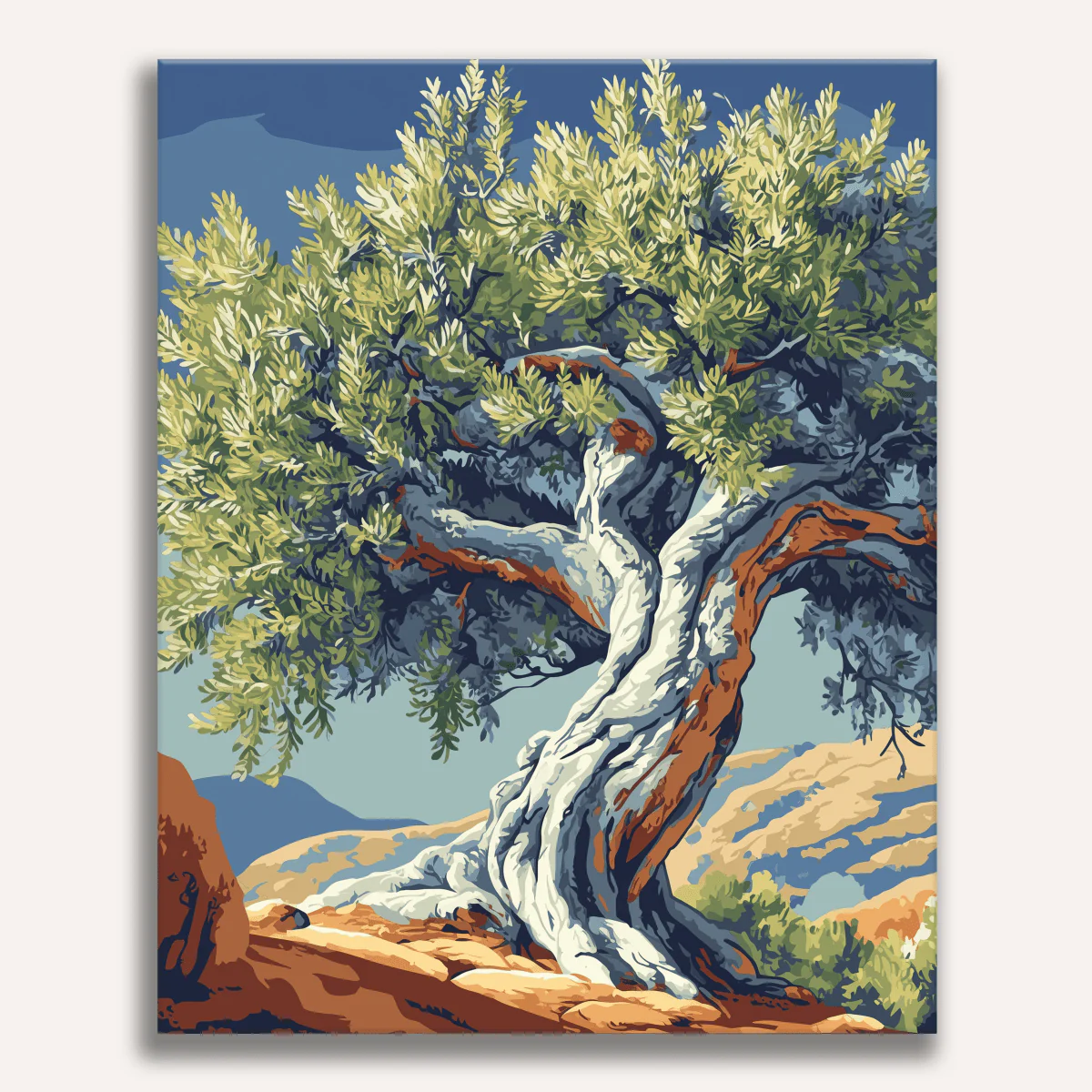 Ancient Twisted Olive Tree