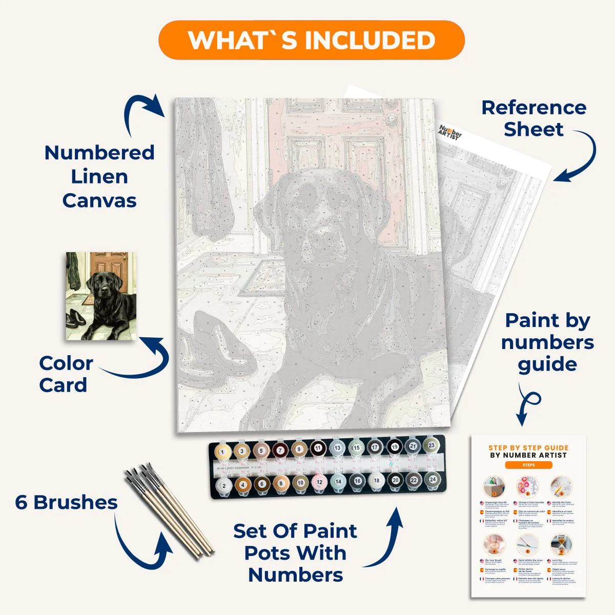 Black Labrador - Image 3