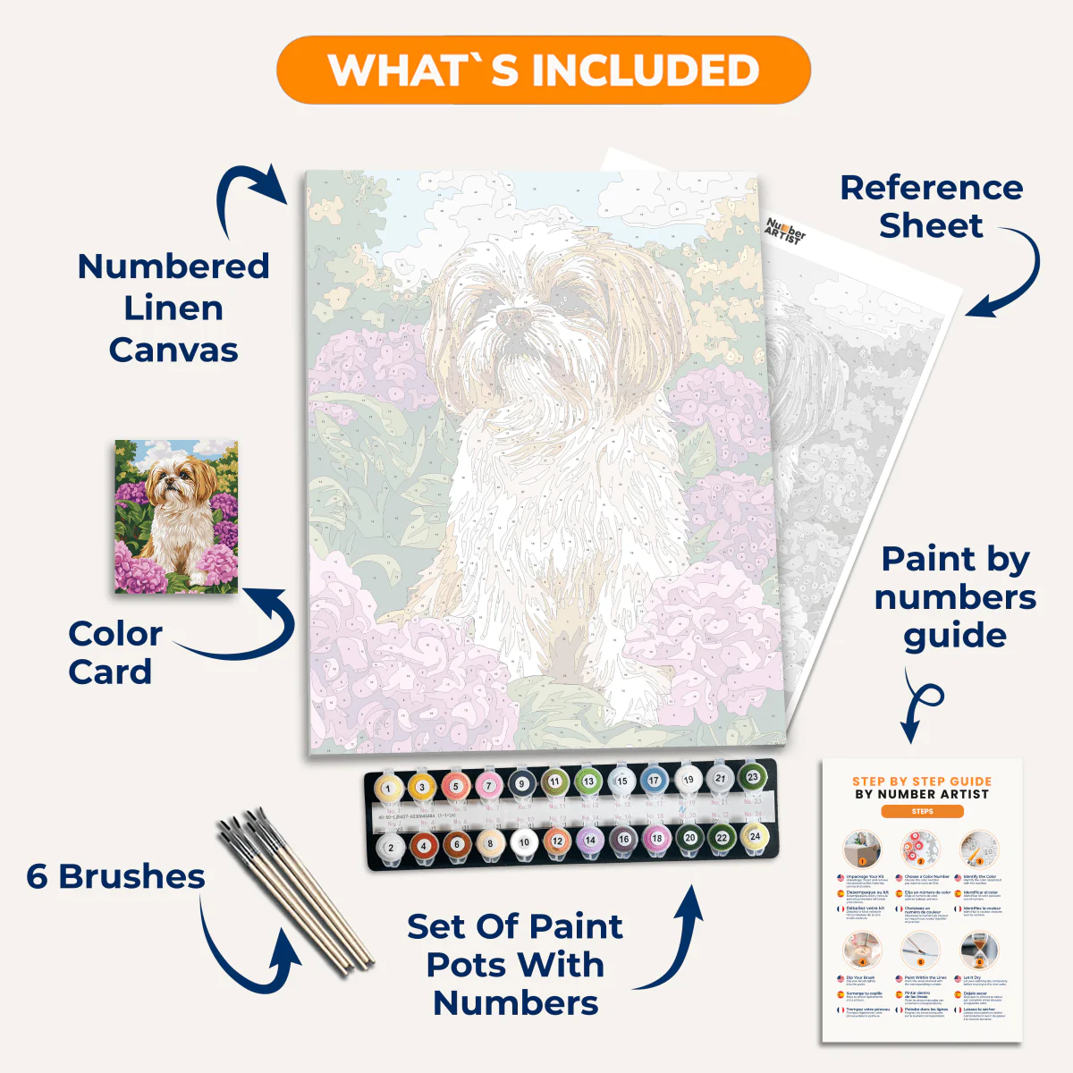 Golden Shih Tzu - Image 3