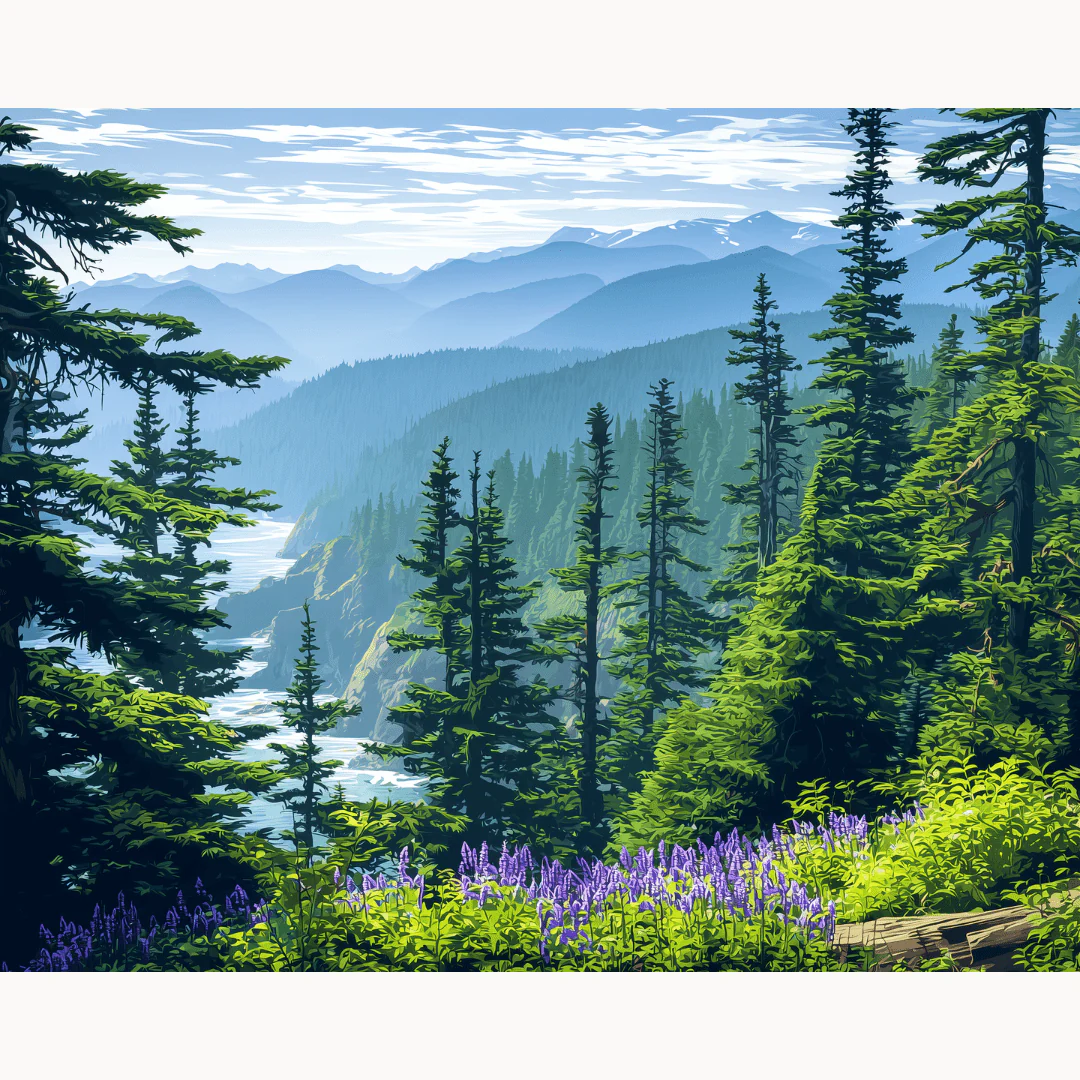 Olympic National Park - Image 2