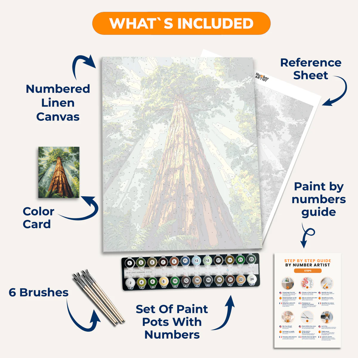 Redwood Tree - Image 3
