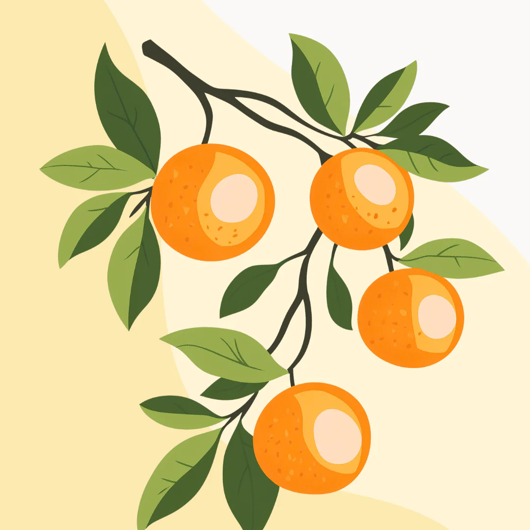 Refreshing Oranges - Image 2